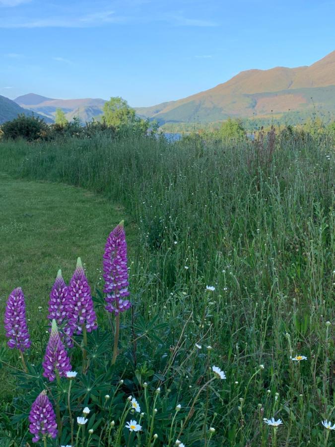 Ceo Mara Croft B&B & 2 Luxury Cabins Taynuilt Esterno foto