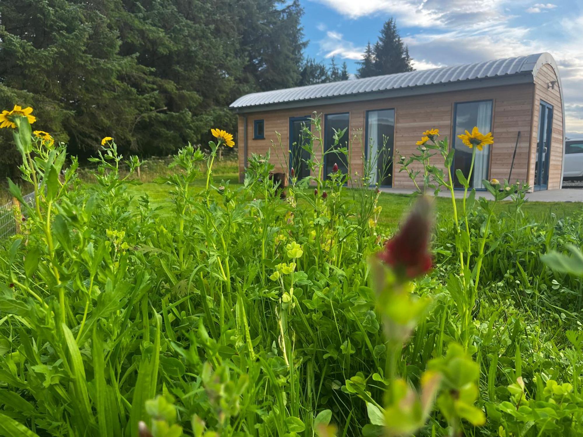 Ceo Mara Croft B&B & 2 Luxury Cabins Taynuilt Esterno foto