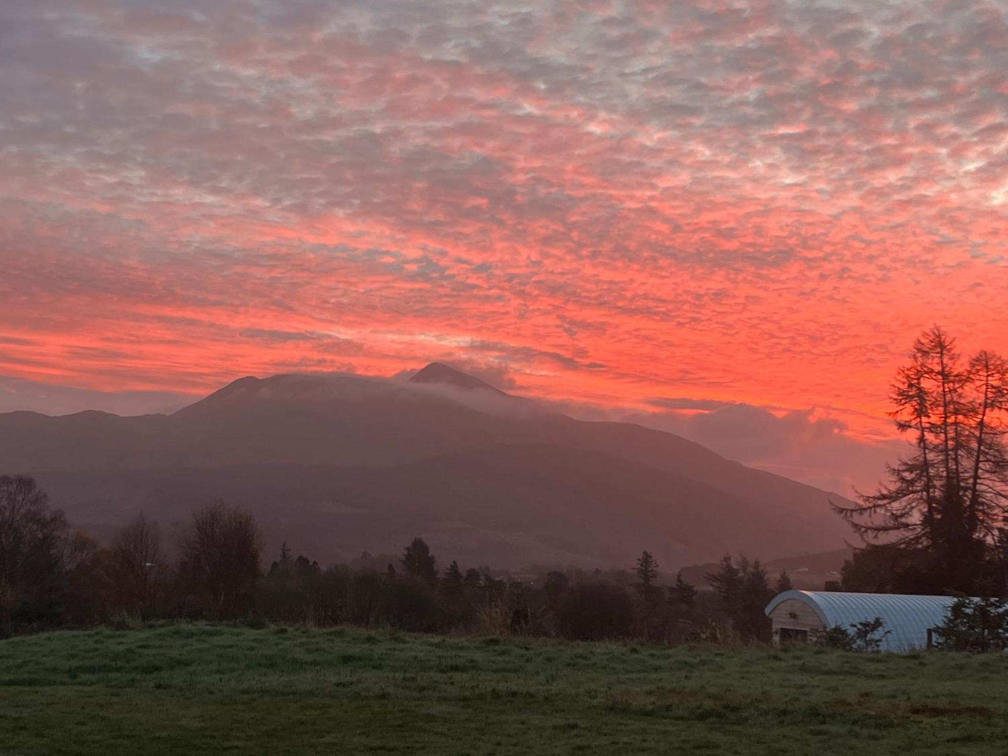 Ceo Mara Croft B&B & 2 Luxury Cabins Taynuilt Esterno foto