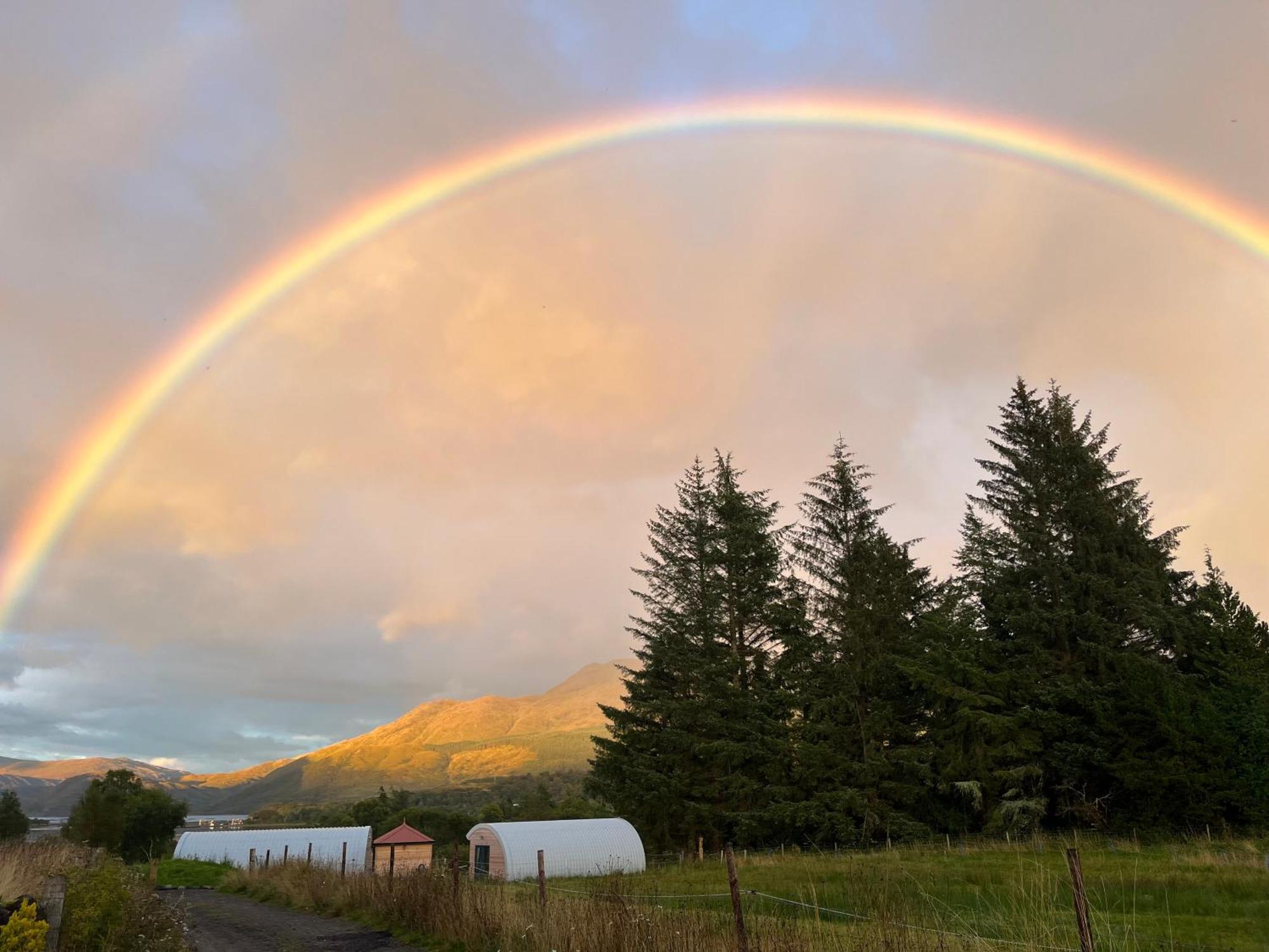 Ceo Mara Croft B&B & 2 Luxury Cabins Taynuilt Esterno foto